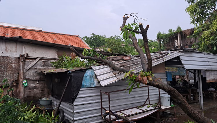 Kabupaten Sidoarjo Diterjang Hujan Deras Dan Angin Kencang Times