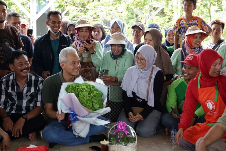 Serunya Ganjar Panen Anggur Dan Tanam Cabai Bareng Petani Ibu Kota