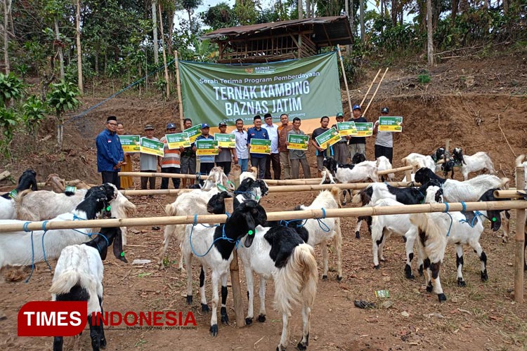 Baznas Jatim Salurkan Rp Juta Untuk Turunkan Kemiskinan Ekstrem Di