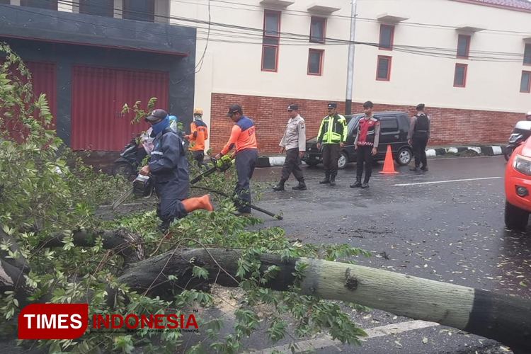 Angin Kencang Lima Peristiwa Terjadi Di Kota Batu Times Indonesia