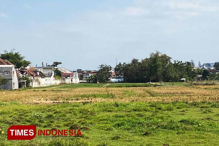 Gegara Banyak Petani Jual Lahannya Sawah Di Kota Malang Menyusut