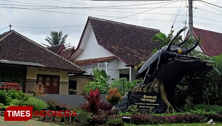 Semua Jenis Serangga Nusantara Ada di Museum Serangga Banyuwangi