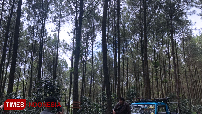 Gunung-Telomoyo-b.jpg