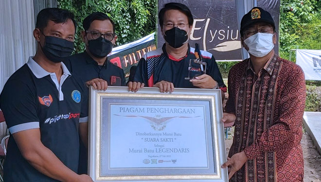 Burung Murai Batu bernama Suara Sakti milik Mr Andy Donk yang dinobatkan sebagai Burung Murai Batu Legendaris. (FOTO: Fajar Rianto/TIMES Indonesia)