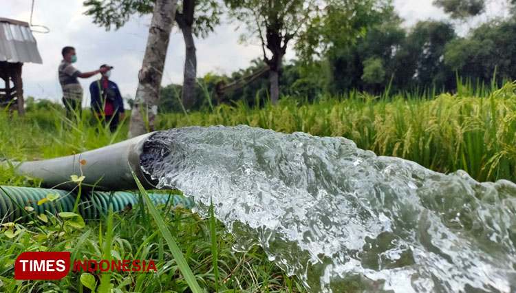 Beralih ke Irigasi Sibel, Petani Desa Tlogowaru Kabupaten Tuban Lebih Hemat