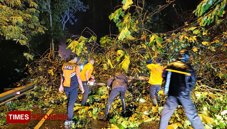 Jalan ke Wisata Arak-arak Wringin Bondowoso Longsor, Arah Situbondo Sempat Terputus
