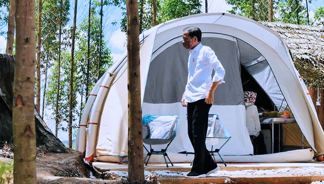 Presiden-Jokowi-b803bc7cd4253a451.jpg