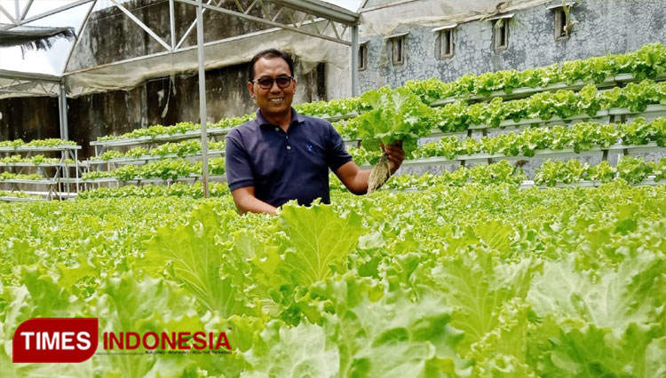 petani-hidroponik-2.jpg
