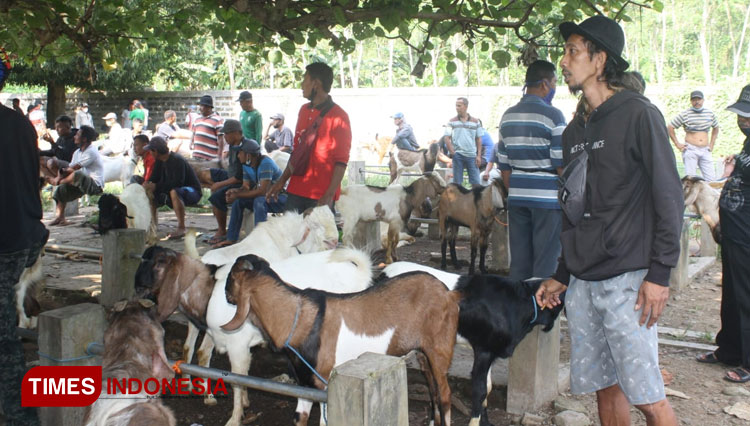 Pasar-Hewan.jpg