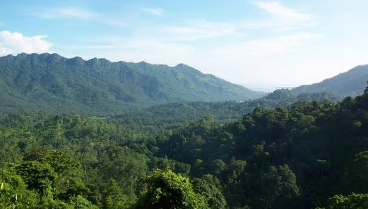 Hutan-Pusuk-Lombok-2.jpg