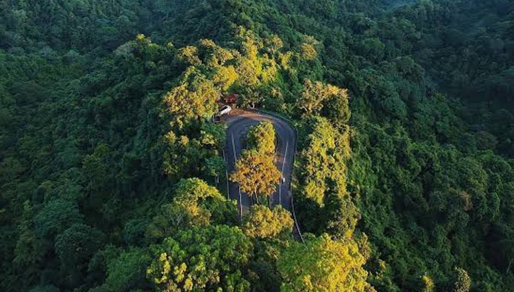 Hutan Pusuk Lombok, peninggalan para pekerja paksa (Romusha) pada zaman penjajahan Jepang. (FOTO: Good News From Indonesia)