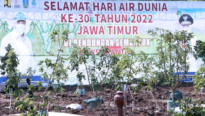 Peringati Hari Air Sedunia, Jatim Tanam Pohon Massal - TIMES Indonesia