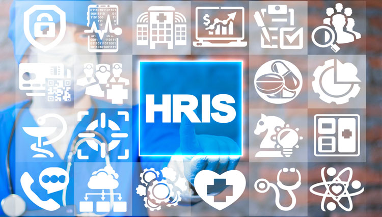 Langkah Tepat dalam Memilih Aplikasi HRIS Indonesia