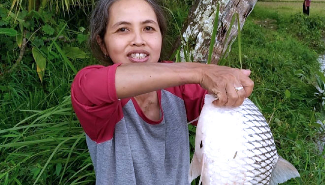 Ipung warga Bantaran Sungai Serayu Rawalo yang mendapatkan ikan besar akibat fenomena alam.(FOTO : Sutrisno/TIMES Indonesia)