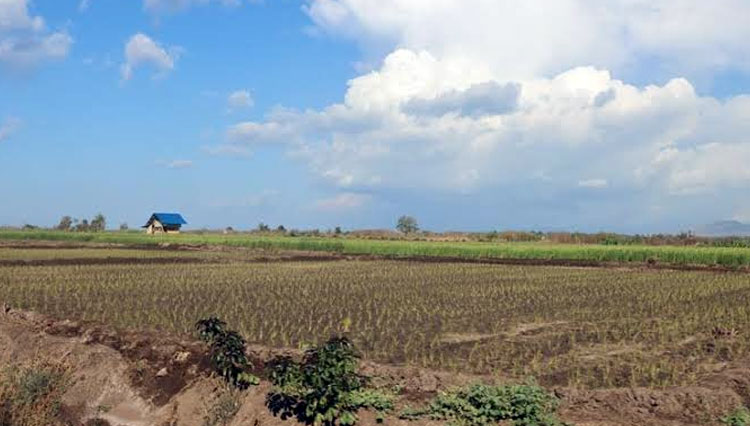 Ilustrasi - tanah Agus Anwar disita BLBI. (FOTO: BPN)