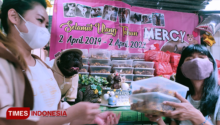 Dog-Lover-Surabaya-2.jpg