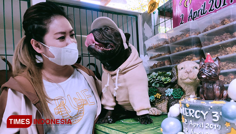 Lulu, Dog Lover Surabaya nampak bahagia saat mengunjungi shelter atau panti asuhan anjing di Kawasan Surabaya Barat, Sabtu (2/4/2022). (Foto: Lely Yuana/TIMES Indonesia)