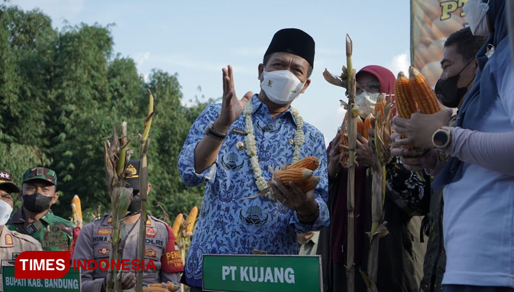 BUpati-Dadang-b.jpg