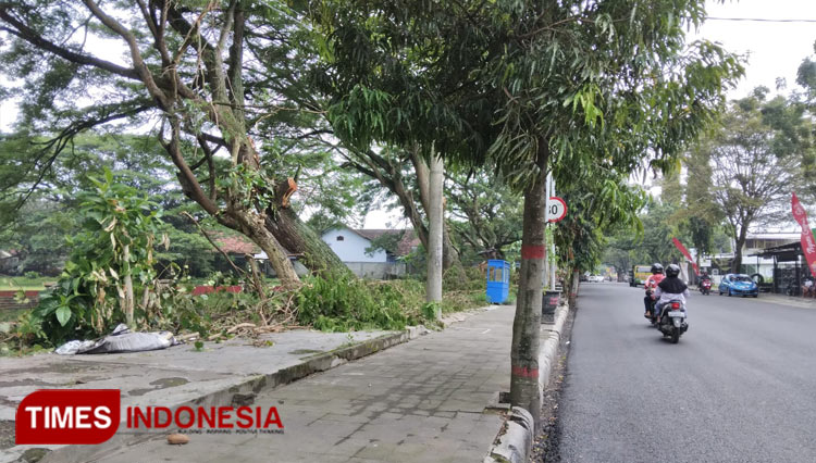Lahan Pemkot Blitar di timur lapangan Sananwetan yang kini sudah bersih dari PKL. (Foto: Sholeh/TIMES Indonesia)