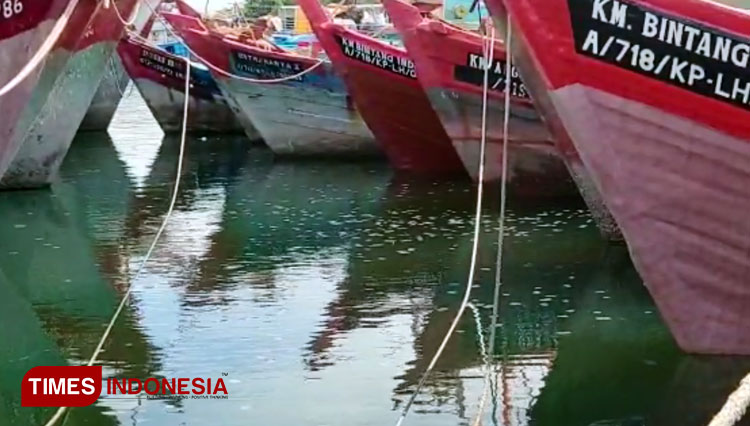 Lagi, Jutaan Ubur-ubur Muncul di Pelabuhan Perikanan Pantai Mayangan Kota Probolinggo