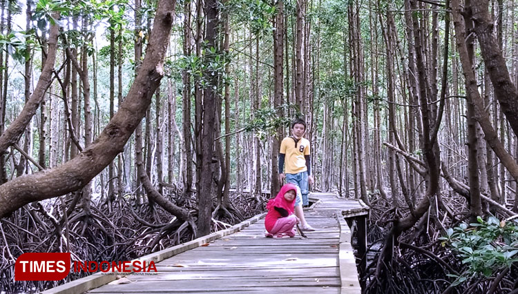 Bontang-Mangrove-Park-masuk-tiga-besar-tempat-wisata-favorit-wisatawan.jpg