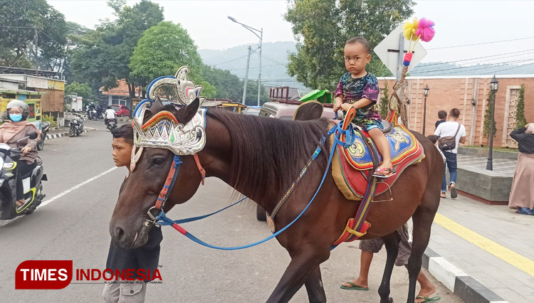 Kuda Renggong Menjadi Primadona di Taman Raharja Majalengka