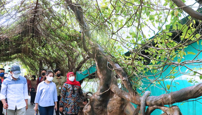 Gubernur Jawa Timur Khofifah Indar Parawansa menikmati suasana di salah satu destinasi wisata. (Foto: Dok.Humas Pemprov Jatim) 