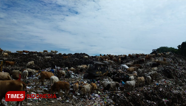 Tumpukan sampah di TPST Piyungan yang terus bertambah. (Foto: Totok Hidayat/TIMES Indonesia)
