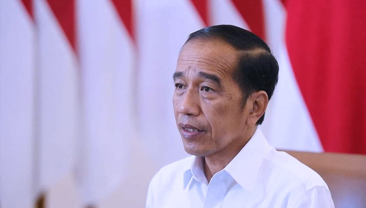 Mudik Lebaran Lancar Presiden Ri Jokowi Berterima Kasih Ke Warga