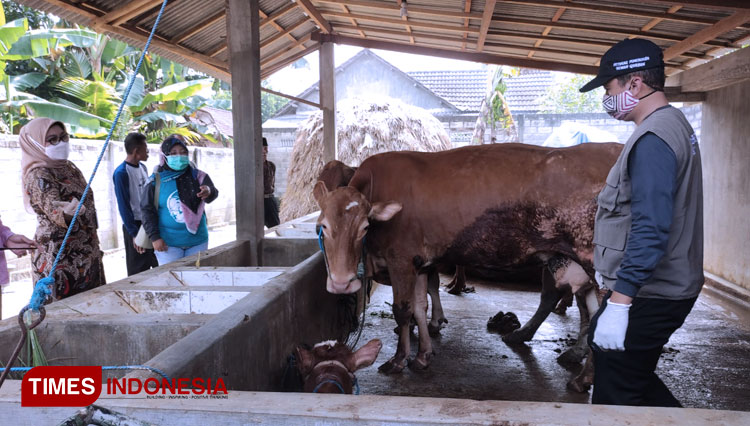 Satgas Pengawasan Penyakit Mulut dan Kuku (PMK) Kota Blitar melakukan sidak ke sejumlah tempat Kios Jagal dan peternak sapi, Selasa (24/05/2022). (Foto: Sholeh/TIMES Indonesia)