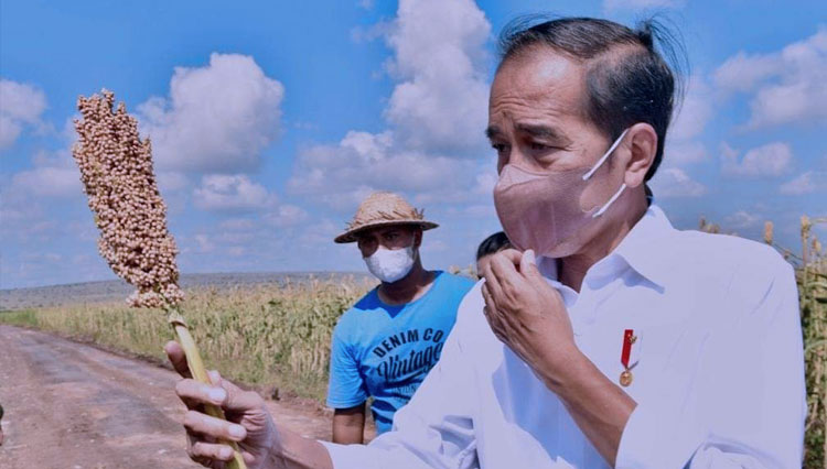 Presiden RI Jokowi: Saya Tidak Bisa Menoleransi Terjadinya Kerugian Negara