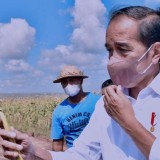 Presiden RI Jokowi: Saya Tidak Bisa Menoleransi Terjadinya Kerugian Negara