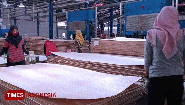 Pabrik triplek Bondowoso Indah Plywood yang berada di bawah naungan BUMN kini sudah tidak beroperasi sejak Desember 2021 (FOTO: Dokumen TIMES Indonesia)