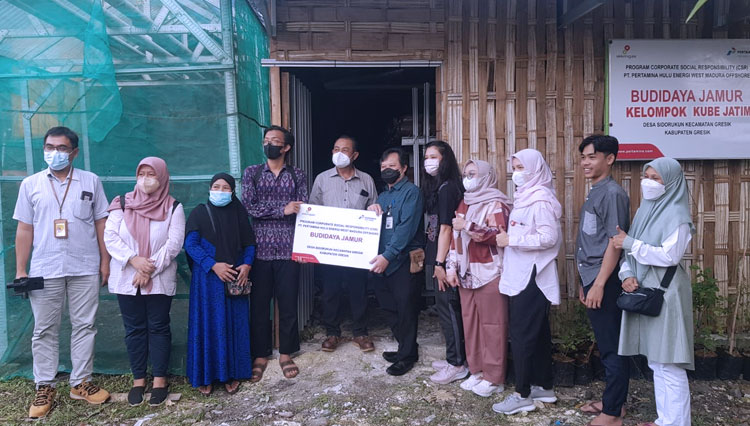 budidaya-jamur-tiram-3.jpg