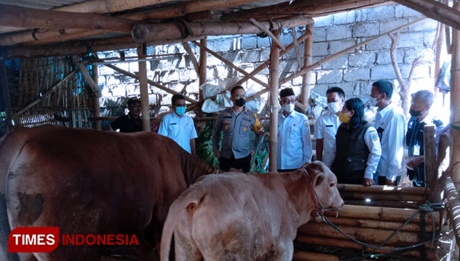 Disnakkan Bondowoso Ajukan Anggaran Rp4 Miliar untuk Penanganan PMK