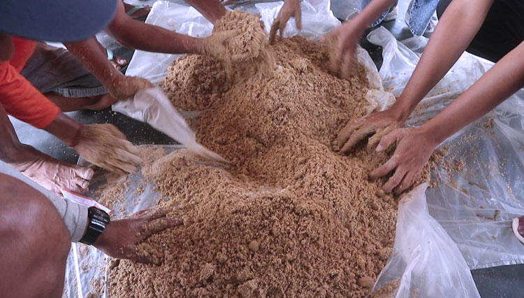 Akademisi Unwar Perkenalkan Pakan Fermentasi Berbahan Dedak - TIMES Indonesia