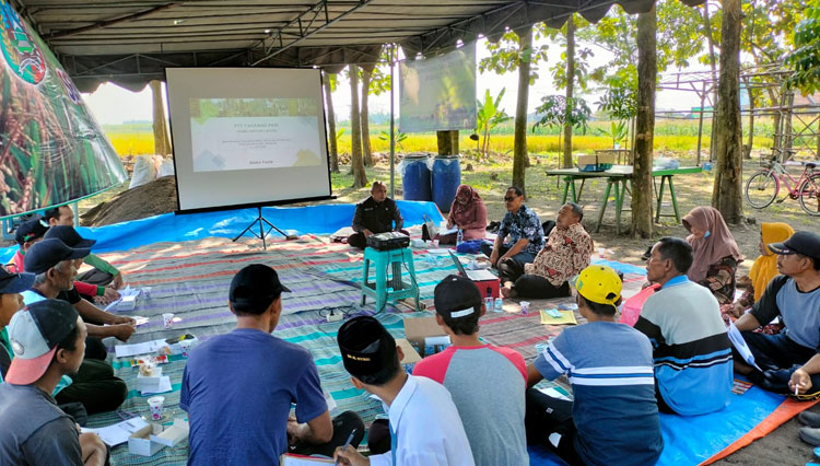 Polbangtan Malang Dorong Petani di Jombang Tingkatkan Produktivitas Padi