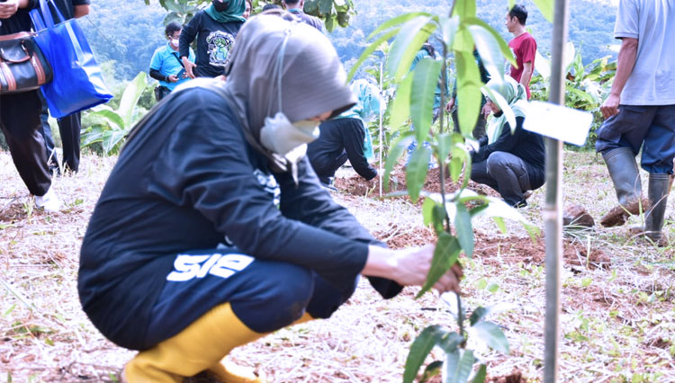 Peringati Hari Lingkungan Hidup Sedunia, Wali Kota Banjar Lakukan Penanaman Pohon