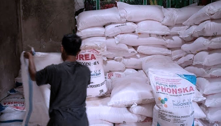 Stok pupuk di gudang. (Foto: Kompas.com)