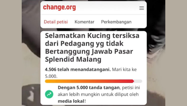 Petisi-Selamatkan-Kucing-Tersiksa.jpg
