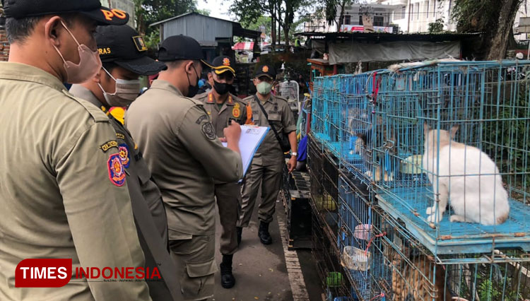 Sejumlah anggota gabungan Pemkot Malang saat melakukan pendataan pedagang hewan di pasar Splendid Malang, Senin (27/6/2022). (Foto: Humas Pemkot Malang/TIMES Indonesia)