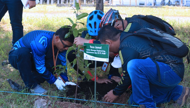 Peringkati Hari Lingkungan Hidup dengan Tanam Mangrove di Area PLTU Paiton