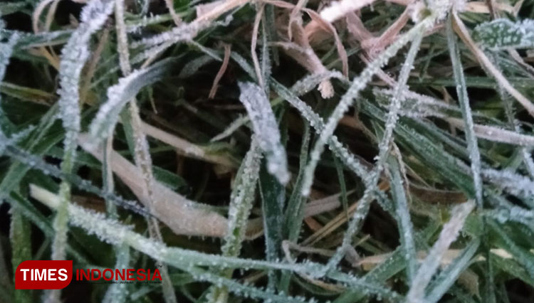 Frost-atau-embun-es-a.jpg