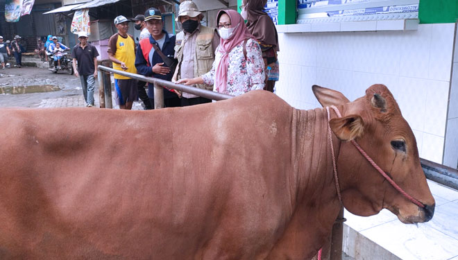Wabah PMK Turunkan Perjualan Daging di Pasar Tradisional di Kabupaten Probolinggo 