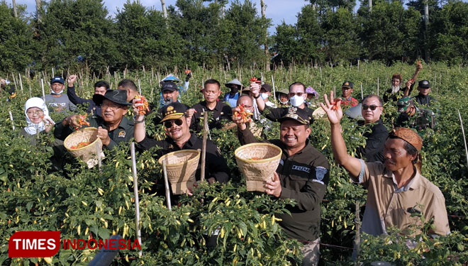 Menteri Pertanian RI, Syahrul Yasin Limpo bersama Bupati Sumedang Dony Ahmad Munir saat panen cabai bersama petani di Pamulihan Sumedang Jabar, Sabtu (2/7/2022). (FOTO: Alan Dahlan/TIMES Indonesia)