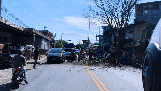 Terlihat pohon tumbang yang menutup sebagian jalan di Kota Malang, Minggu (3/7/2022). (Foto: Dok. Jhosua Nade for TIMES Indonesia)