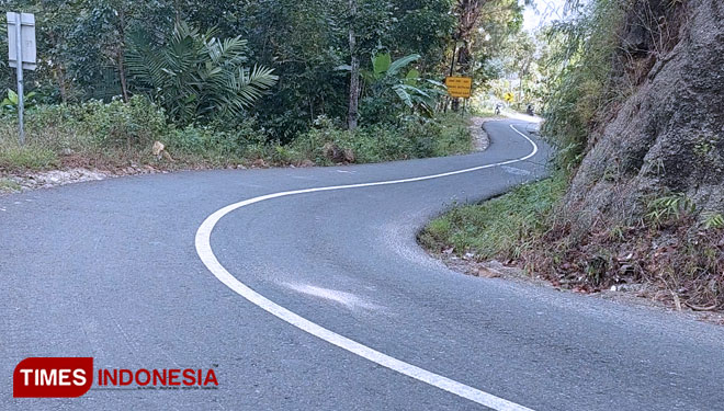Kondisi Jalan Provinsi Jatim yang berapa di Pacitan-Nawangan Purwantoro Jateng amat sempit dan memprihatinkan (Foto: Rojihan/TIMES Indonesia)