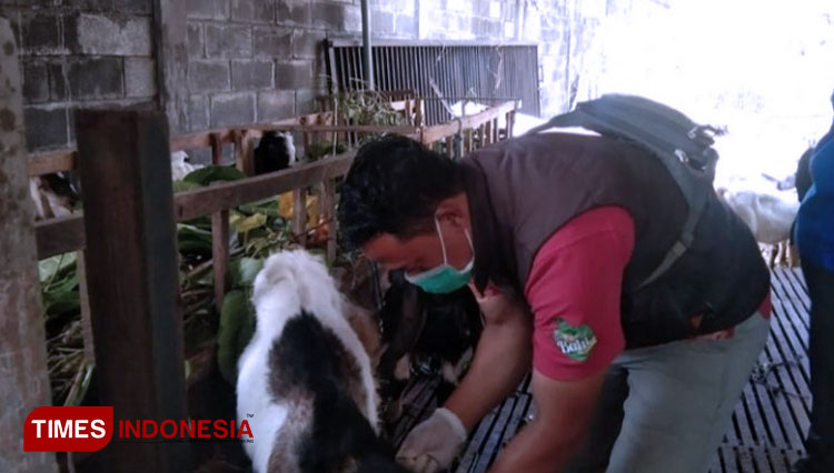 Dinas-Pertanian-melakukan-pemeriksaan-hewan-qurban-2.jpg
