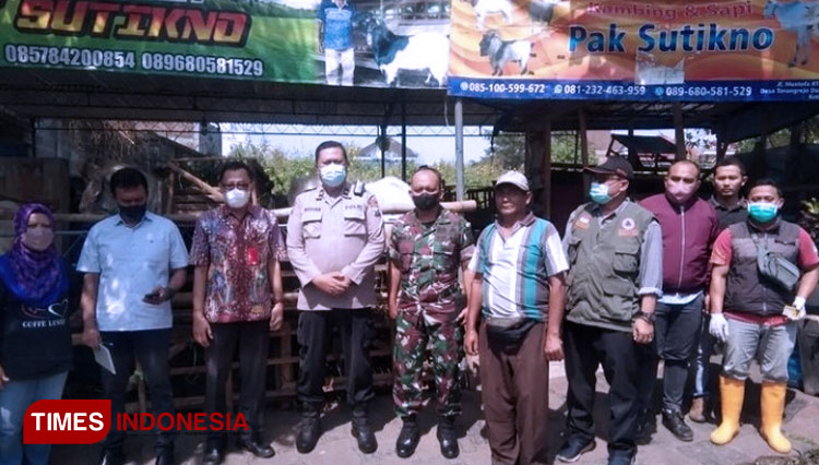 Dinas-Pertanian-melakukan-pemeriksaan-hewan-qurban-3.jpg