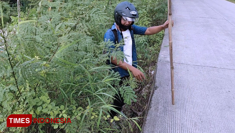 Warga melakukan cek bahu jalan kabupaten yang ambles di Blora menggunakan bambu. (Foto: Firmansyah/TIMES Indonesia)